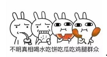 毛衣吃瓜群众,揭秘时尚潮流背后的故事