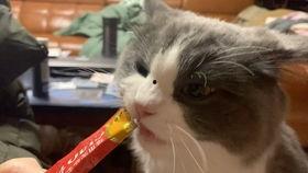 吃瓜少女喵喵喵,揭秘娱乐圈幕后故事