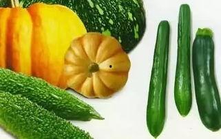 石缝瓜怎么吃最好,解锁最佳口感体验