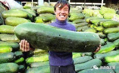 吃瓜身体不舒服,揭秘夏日消暑美食背后的健康隐患