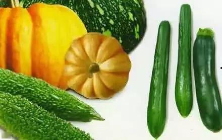 家家欣比赛吃瓜,瓜王争霸，欢乐无限