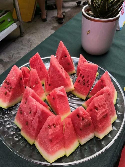 家家欣比赛吃瓜,瓜王争霸，欢乐无限