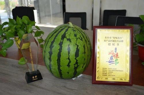 天津邮政吃瓜,吃瓜群众眼中的快递风云