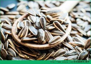 吃什么瓜吃瓜子,从吃瓜到吃瓜子的奇妙之旅