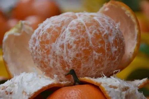 吃瓜ww片,一场网络热传的视觉盛宴