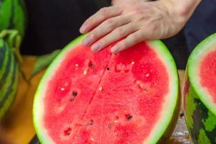 莲雾吃瓜,夏日消暑新风尚