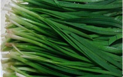 吃瓜种韭菜,吃瓜群众与韭菜种植者的生活轨迹