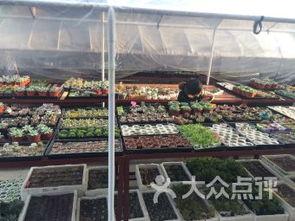 杭州花店吃瓜,一场意外的吃瓜盛宴