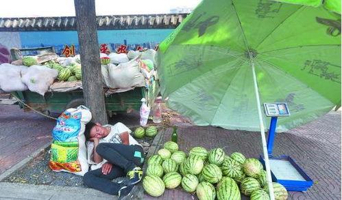 河溪镇吃瓜,瓜香四溢，品味乡村田园生活