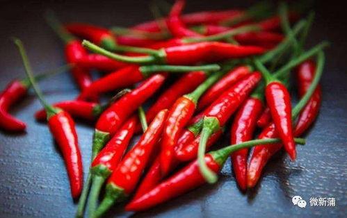 当代网友吃串瓜,当代网友的“吃瓜”狂欢