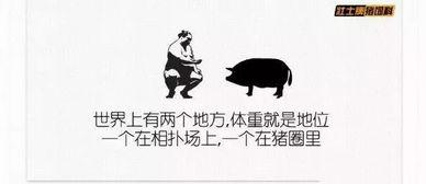 吃瓜喝茶文案搞笑短句,吃瓜喝茶，短句狂欢