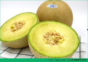 宝宝哈密瓜怎么吃 第2张 宝宝哈密瓜怎么吃 第2张