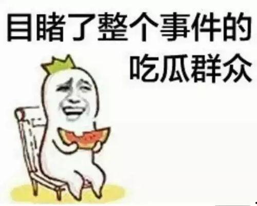 吃瓜群众起点,吃瓜群众视角下的娱乐圈风云录  第3张