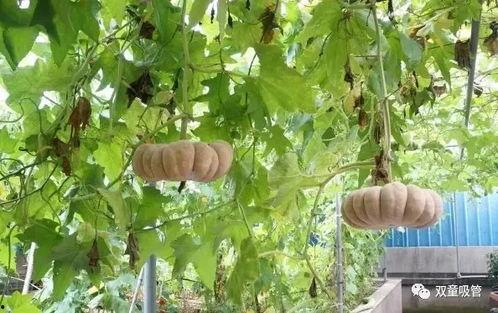 吃瓜企业版,洞察行业热点,轻松掌握商业动态 第3张 吃瓜企业版,洞察行业热点,轻松掌握商业动态 第3张