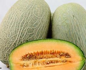 谁在吃哈密瓜,揭秘谁在品尝甜蜜的哈密瓜  第3张