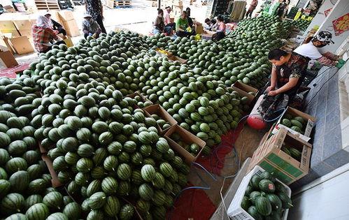 左各庄吃瓜  第2张