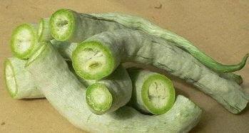 蛇瓜可连皮吃吗