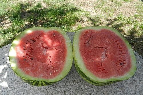 梦见继子吃小瓜,继子吃瓜背后的寓意解析  第2张