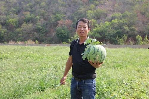 一个吃瓜游客,一场别开生面的旅游体验  第3张