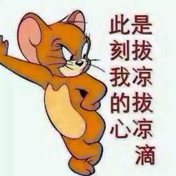 周末吃瓜群众图片,揭秘网络热议背后的真实故事