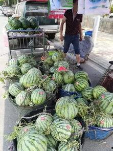 安溪吃瓜网红事件  第2张