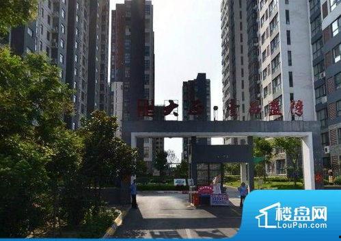 吃许昌壹品澜湾的瓜