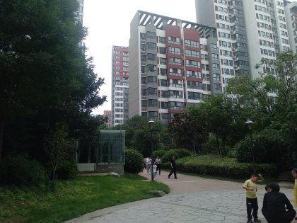 吃许昌壹品澜湾的瓜  第3张