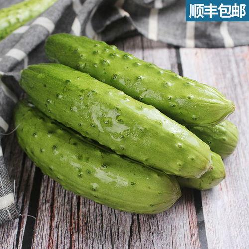 山东嫩瓜怎么吃,解锁夏日清新口感