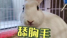 抖音父女吃瓜  第3张